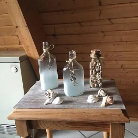 Spitzdachferienhaus Mit Schwedenofen Und Garten * Damp